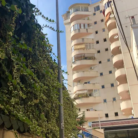 Flo's Spacious Tirana